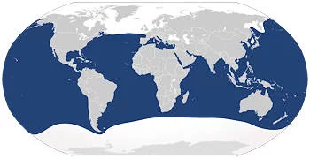 Área Geográfica del Tiburón Blanco