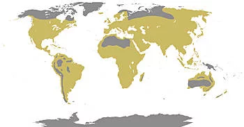 Área Geográfica del Toro