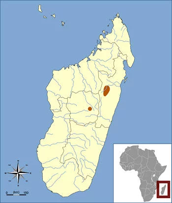 Área Geográfica del Zampullín