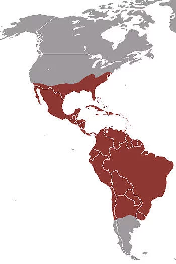Área Geográfica del Zopilote